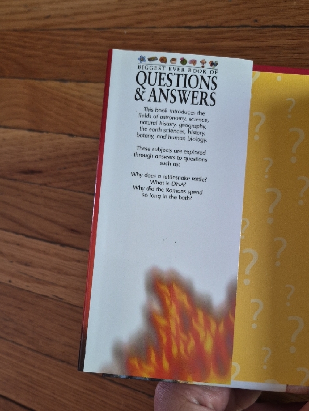 Questions & Answers Trivia - Picture 2 of 3